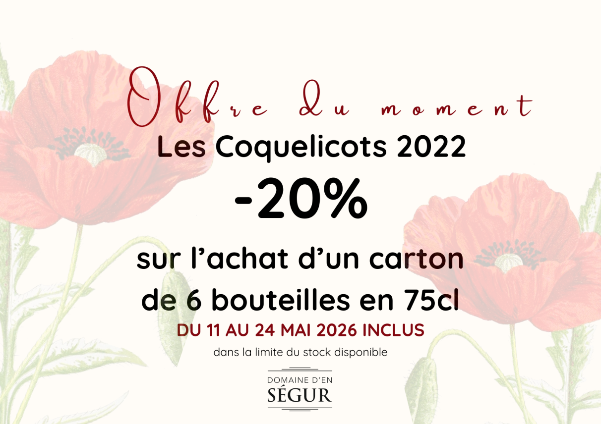 Offre du moment 